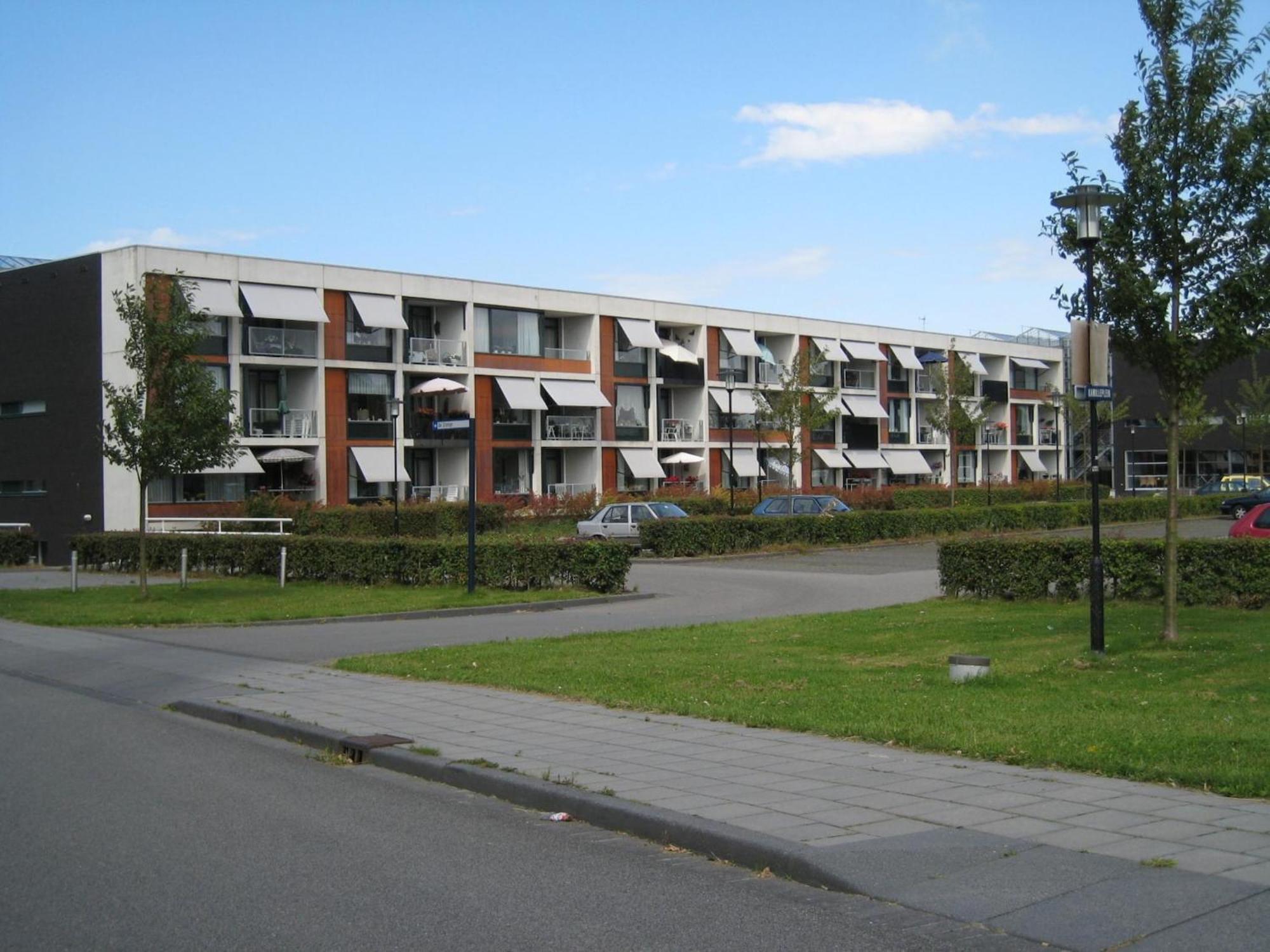 Brand New Chalets At 10 Minutes From The Oosterschelde Heinkenszand Bagian luar foto